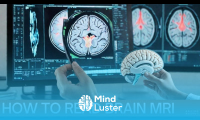 How to Read Brain MRI Medical Technology