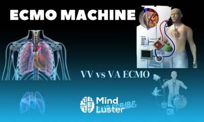 What is ECMO Saving Lives with ECMO VV vs VA ECMO Explained