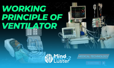 Working Principle of Ventilator Medical Technology
