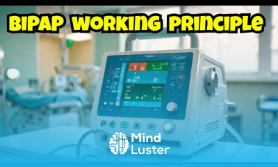 The Working Principle of BiPAP Machines Mechanism Benefits and Usage Medical Technology