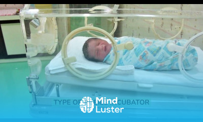 baby incubator baby incubator machine