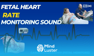 Cardiotocography Fetal Monitors Introduction Fetal Heart Rate Monitoring Sound