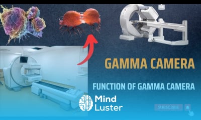 Gamma Camera Function of Gamma Camera Medical Technology