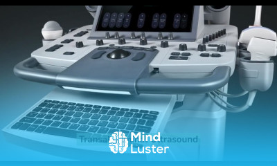 ultrasound basics ultrasound scan ultrasound pregnancy ultrasound report ultrasound machine