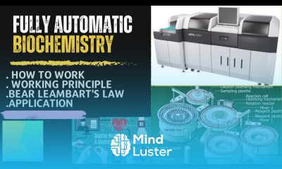 fully automatic biochemistry Biochemistry Fully Biochemistry analyzer fully auto biochemistry