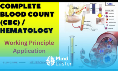 Complete Blood Count CBC Test Results Interpretation Differential Nursing RED BLOOD CELL RBC