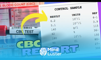 CBC Blood Test Results How to Read and Understand Your Results