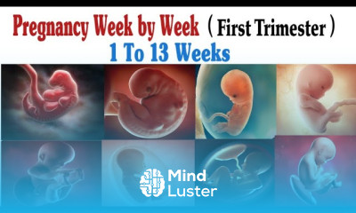 Pregnancy Week By Week First Trimester 1 To 13 Weeks
