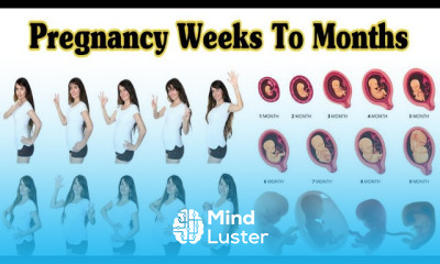 Pregnancy Weeks To Months 1 To 9 Weeks Fetal Developments