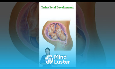 Twins Fetal Development pregnancy twinsbaby pregnancycare