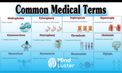 Common Medical Terms Medical Terminology Parts 2