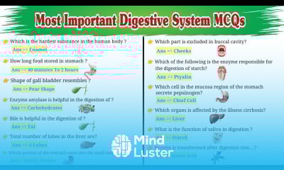 Digestive System MCQs General Knowledge MCQs