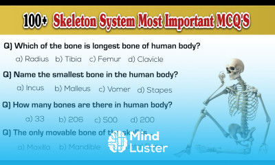 Human Skeleton System Most Important MCQ s MCQ on Human Skeleton System
