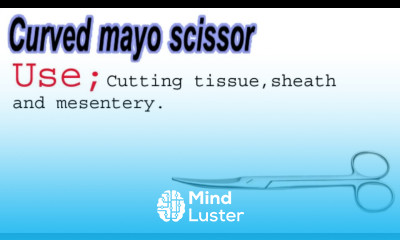 APPENDECTOMY INSTRUMENTS WITH NAMES AND USES