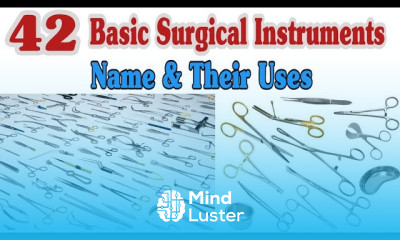 Surgical Instruments Name Pictures and Uses