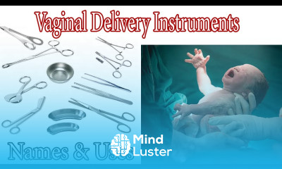 Delivery Tray Normal Vaginal Delivery Instruments Names And Uses