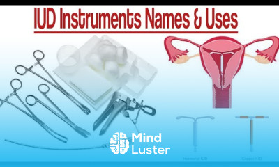 IUD Instruments Tray IUD Instruments With Names Uses