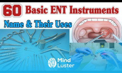 ENT Instruments Name And Their Uses ENT instruments
