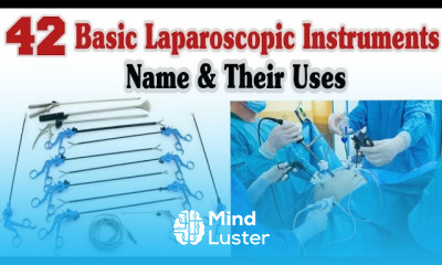 42 Basic Laparoscopic Instruments Name And Uses