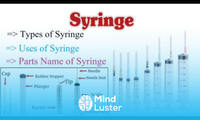 syringe Types of Syringe Parts Name of Syringe