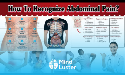 Abdominal Pain Abdominal Region Medical Knowledge