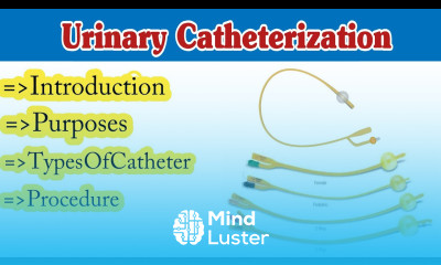 Urinary Catheterization Procedure Types Of Catheter