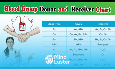 Blood Donor and Receiver Chart Blood Group Chat