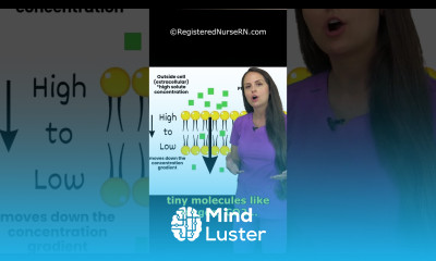 Cell Transport Type Quiz Facilitated Diffusion vs Active Transport vs Simple Diffusion