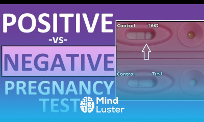 Pregnancy Test Positive vs Negative Results Time Lapse