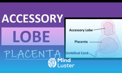 Accessory Lobe Placenta Succenturiate Placenta Experience Pregnancy Vlog