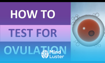 How to Take an Ovulation Test Clearblue for Pregnancy Ovulation Symptoms Test Kit