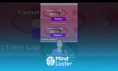 Pregnancy Test Line Progression Best Time to Take Pregnancy Test How Early