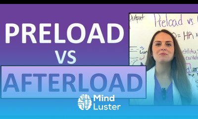 Preload and Afterload Nursing Stroke Volume Cardiac Output Explained