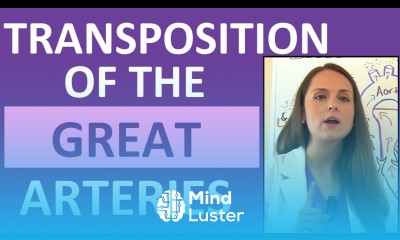 Transposition of the Great Arteries Vessels Congenital Heart Defects Nursing NCLEX Pediatrics