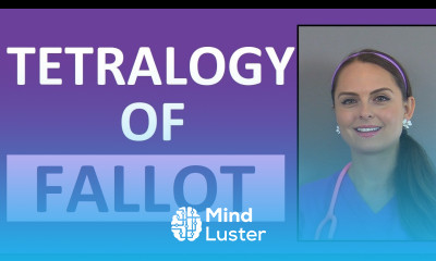 Tetralogy of Fallot Nursing NCLEX Congenital Heart Disease Defects