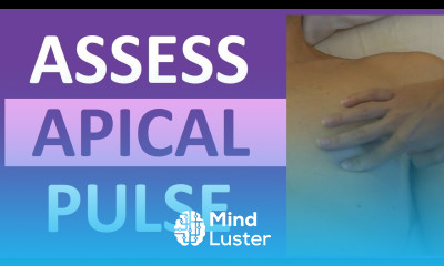 Apical Pulse Assessment Location Nursing Auscultate and Palpate Apical Pulse