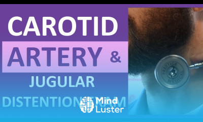 Carotid Artery Assessment Jugular Venous Distention Neck Assessment Nursing