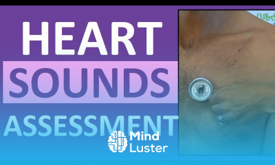 Auscultation of Heart Sounds Assessing Heart Sounds Listening to the Heart with a Stethoscope