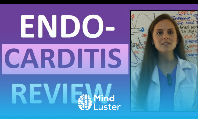 Endocarditis Nursing Pathophysiology Treatment Infective Endocarditis Lecture