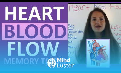 Learn Blood Flow Through the Heart Heart Blood Flow Circulation Supply ...