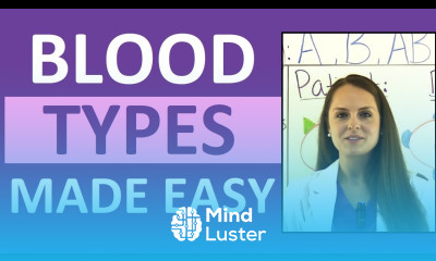 Blood Types Explained Blood Groups ABO and Rh Factor Nursing Transfusions Compatibility