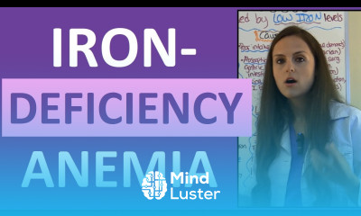 Iron Deficiency Anemia Treatment Nursing Pathophysiology Symptoms w Nursing Interventions
