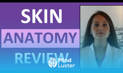 Anatomy Physiology Integumentary Skin System Overview