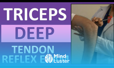 Triceps Deep Tendon Reflex Examination Nursing Head to Toe Assessment