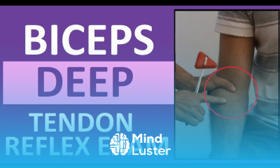 Biceps Deep Tendon Reflex Examination Nursing Head to Toe Assessment