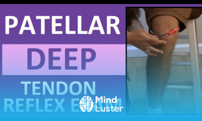 Patellar Reflex Test Knee Reflex Examination of Deep Tendons Nursing Head to Toe Assessment