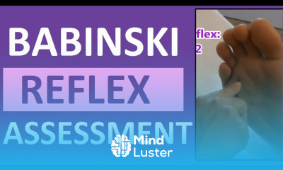 Babinski Reflex Plantar Reflex Test Nursing Head to Toe Assessment