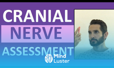 Cranial Nerve Examination Nursing Cranial Nerve Assessment I XII 1 12