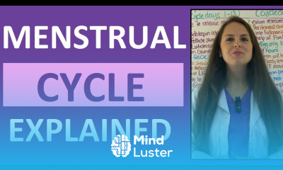 Menstrual Cycle Phases Female Reproductive System Follicular Luteal Proliferative Secretory