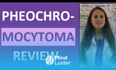Pheochromocytoma Symptoms Nursing NCLEX Lecture Pathophysiology and Treatment Endocrine